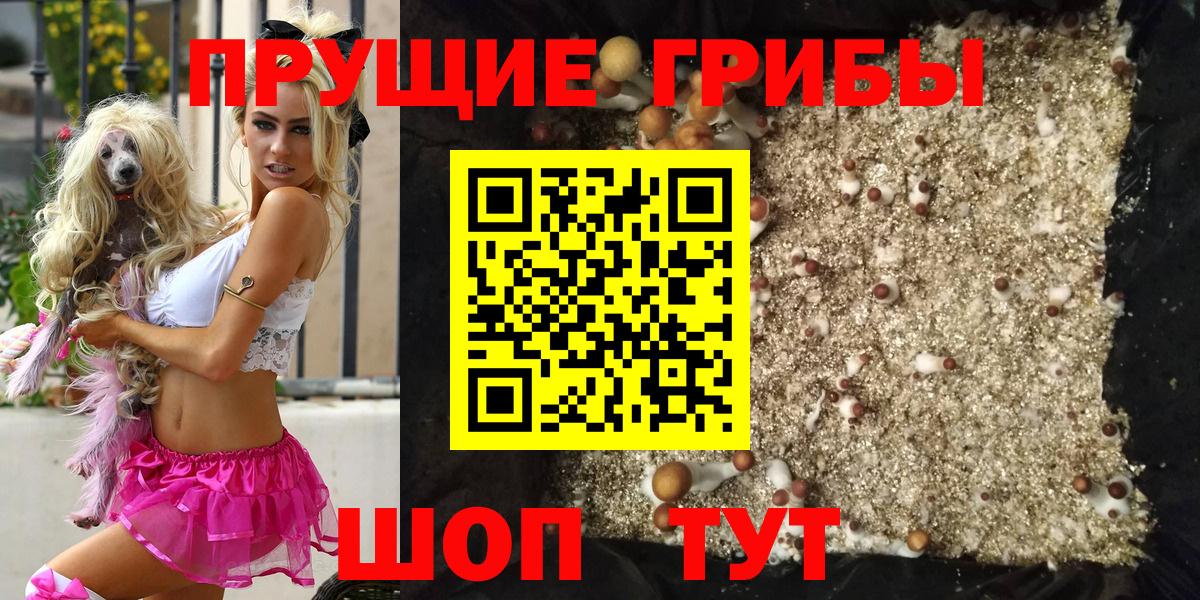 Нефтекамск  Псилоцибиновые грибы MAGIC MUSHROOMS  Галлюциногенные грибы Psilocybine cubensis  Вход с VPN 